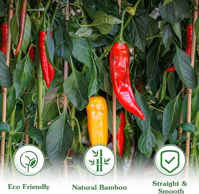 Plant Stakes,25Pcs Bamboo Stakes,3 FT Natural Bamboo Plant Support Stakes,Bamboo Stakes for Indoor and Outdoor Plants Tomatoes Beans Flowers Potted Plants Climbing Support