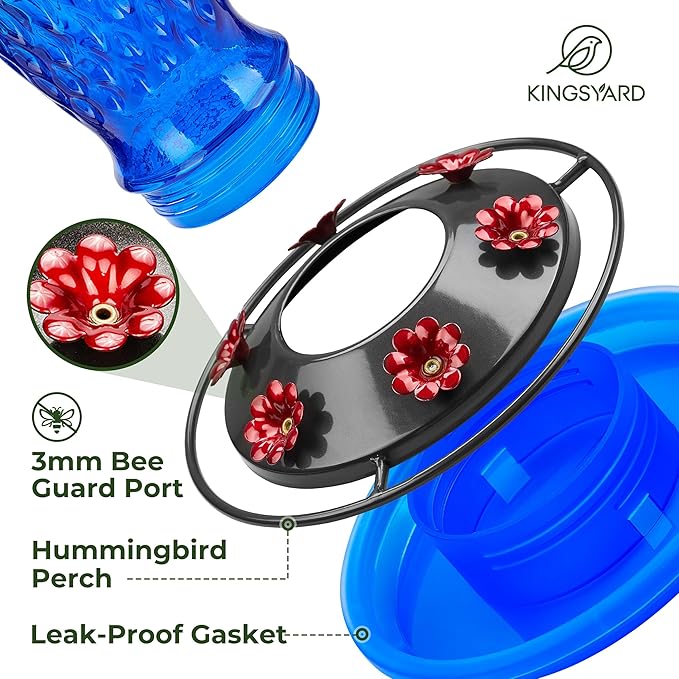 Kingsyard 2 Pack Glass Hummingbird Feeders for Outdoors Hanging, Wild Bird Nectar Feeder with 6 Feeding Ports, 24 oz Leak-Proof, Green & Blue (Ant Moat Included)