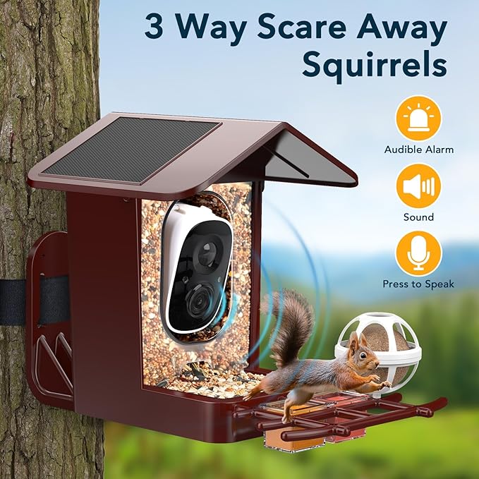 PeckCam® Bird Feeder with Camera Solar Powered, AI Identify & Auto Capture, 2K HD Live Video Smart Bird Feeder Camera Instant Notifications in Backyard, Gift for Bird Lovers