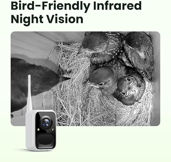 Birdfy Smart Bird House with Camera Solar Powered, 1080HD Live Video & Night Vision for 24/7 Nesting Recording, Auto Detect & Notify, Ideal Nature Gift for Bird Lovers, AI Identify Lifetime Free