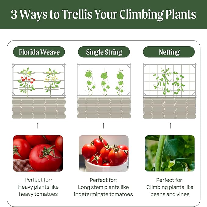 Vego Garden Metal Frame Cucumber Tomato Trellis, Garden Trellis for Climbing Plants Like Cucumber Beans Tomatoes & Vines, 9.5ft Long Metal Trellis for Raised Garden Beds