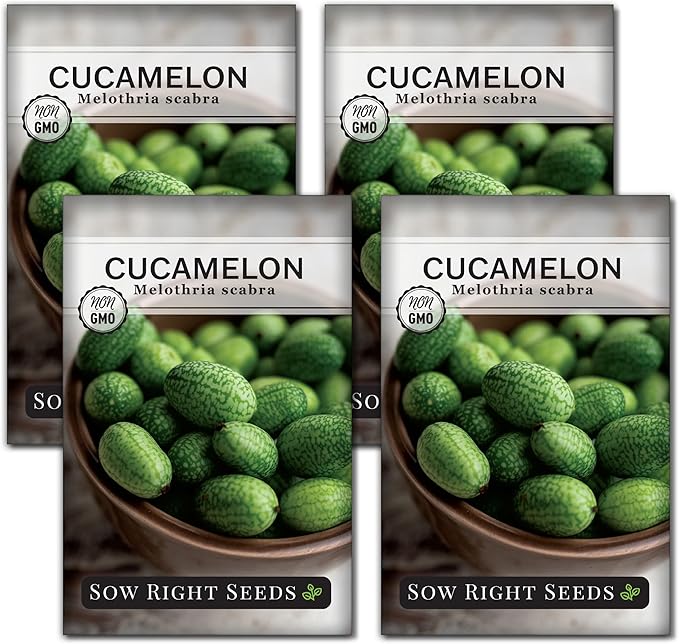 Sow Right Seeds - Cucamelon Seeds for Planting - Non-GMO Heirloom Packet with Instructions to Plant an Outdoor Home Vegetable Garden - Mini Bitter Mouse Melon, Mexican Sour Gherkin - Rare Variety (4)