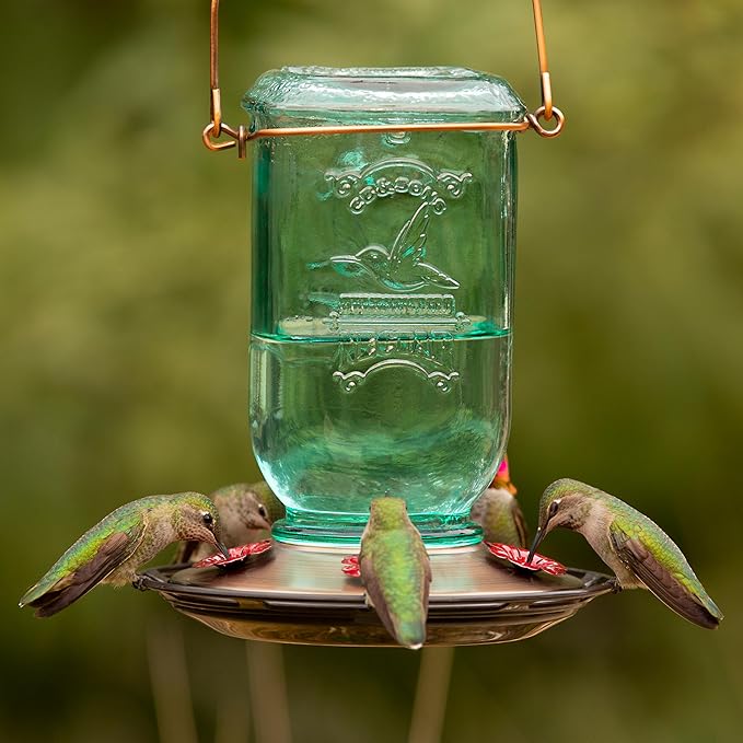 More Birds Mason Jar Hummingbird Feeder, Glass Hummingbird Feeders for Outdoors, 5 Feeding Stations, 25 Ounces