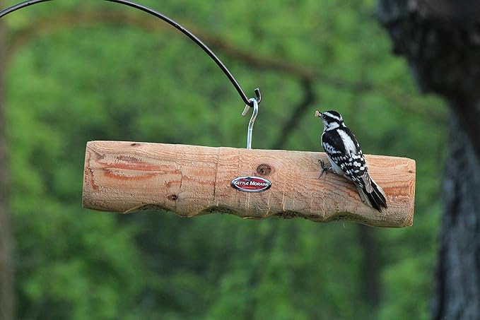 Kettle Moraine Cedar Upside Down Clinger Suet Plug Log Feeder