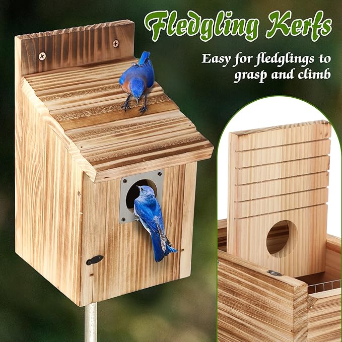 Dreyoo 2 Pack Cedar Bluebird Box Houses for Outside, 1-1/2” Entrance Hole Wooden Bird Houses with Metal Predator Guard, Secure Latch, Fledgling Grooves, Air Vents for Bluebird Wren Swallow Finch