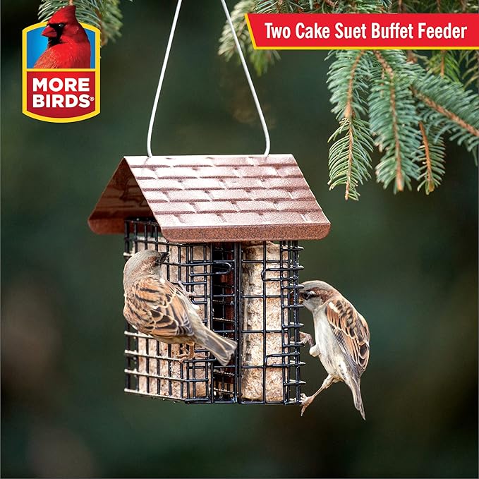 More Birds Double Suet Feeder with Weather Guard,6.5" L X 4.25" W X 7.25" H,Brown,(Pack of 4)