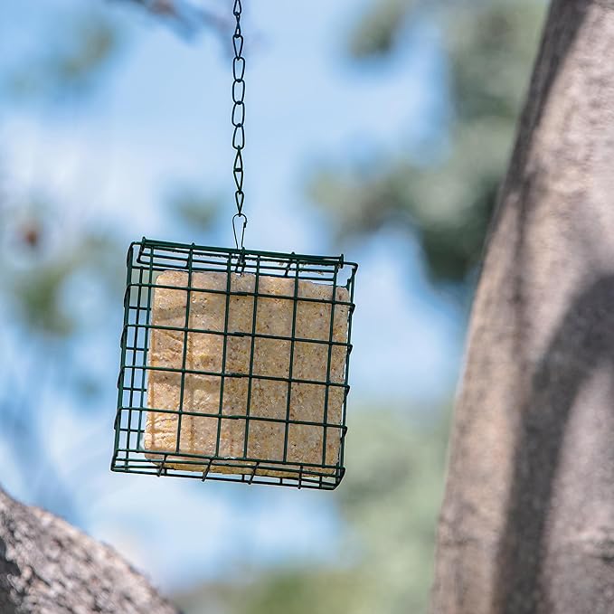 MEKKAPRO Suet Wild Bird Feeder with Hanging Metal Chain, Double Delight Suet Feeder with Metal Chain, Dual Capacity, Weather-Resistant Hanging Bird Feeders (Dual Pack)
