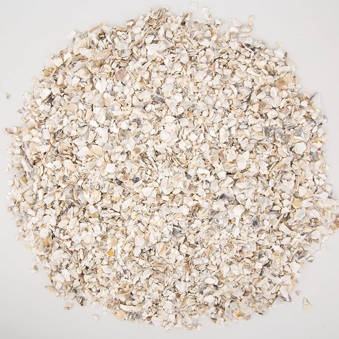 QEQEKAKA Crushed Oyster Shells About 2LB (880g/31OZ) Contains Calcium Small Natural Crushed Shells Bulk