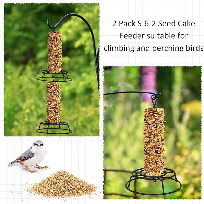 Honeydak 2 Pcs Cylinder Bird Feeder Outdoor Seed Holder for Large Small Cylinders Metal Suet Cake Feeder Backyard Wild Birds Feeding Bird Container for Outdoors Garden