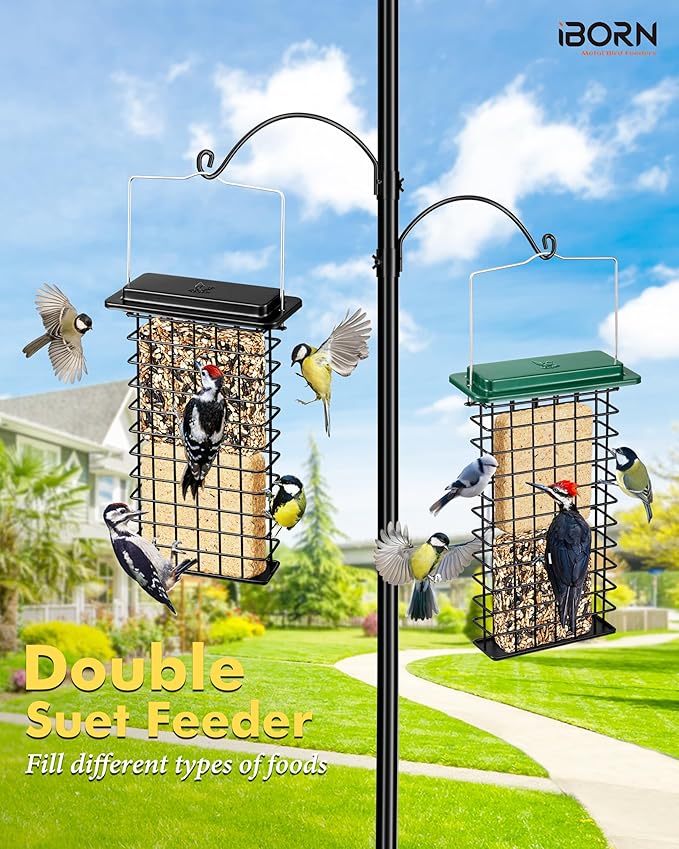 iBorn Metal Double Suet Feeder,Durable Suet Cake Cage Bird Feeder for Outdoors Hanging，Metal Roof Bird Feeder with Taller Grid for Woodpeckers,Large Suet Holder,Easy Clean & Refill,1 Pack,Black