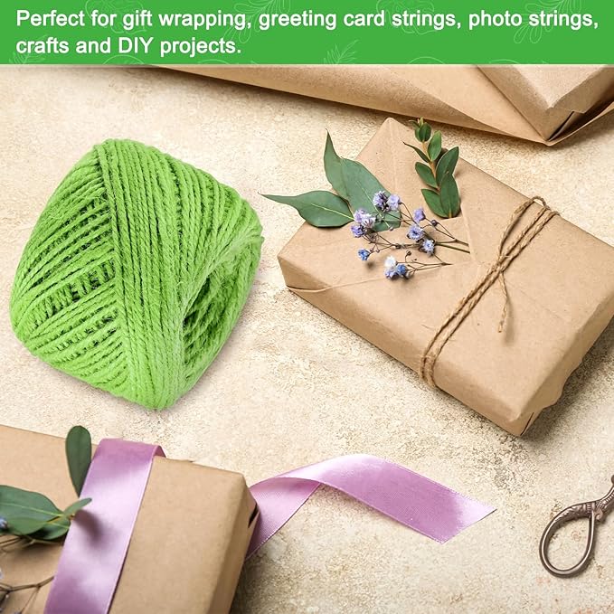1-Pack Natural Jute Twine String, 3mm x 328ft/100m Long Garden Twine Balls for Crafts/Gift Wrapping/Gardening Plants, Durable Plant Ties Thick Rope [Light Green]