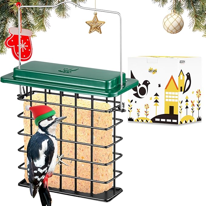 iBorn Suet Feeder Suet Bird Feeders [Single Capacity] for Outside Hanging with Taller Grid for Woodpecker,Metal Green（Pack of 1）