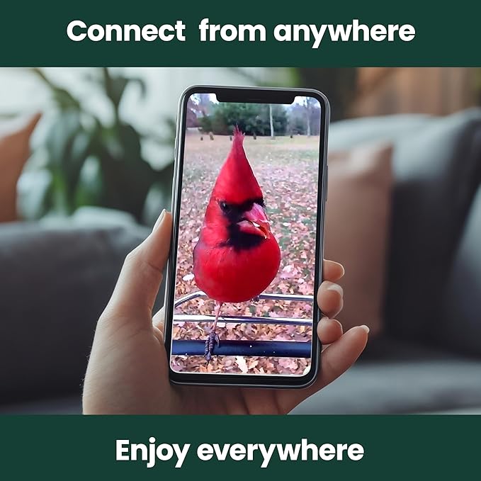 Perky-Pet Solar Powered Smart Bird Feeder with Camera - Squirrel-Resistant, 3.2L Capacity, Motion Activated 1080p HD WiFi Live Stream Camera, SPCAM, SPCAMSLR - Camera Feeder Gift Idea, Red