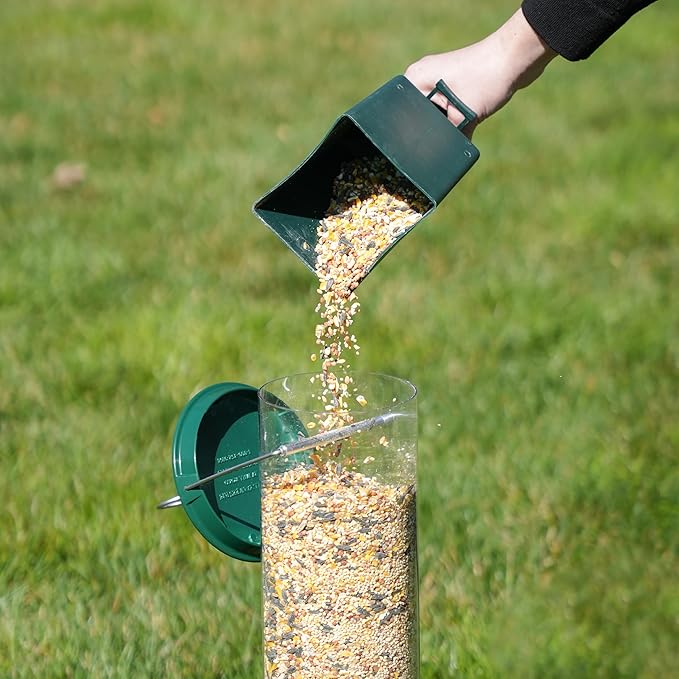 Droll Yankees Squirrel Proof Bird Feeders for Outdoors - YF-M - Flipper, Collapsible Perches, 5-Pound Seed Capacity, Green