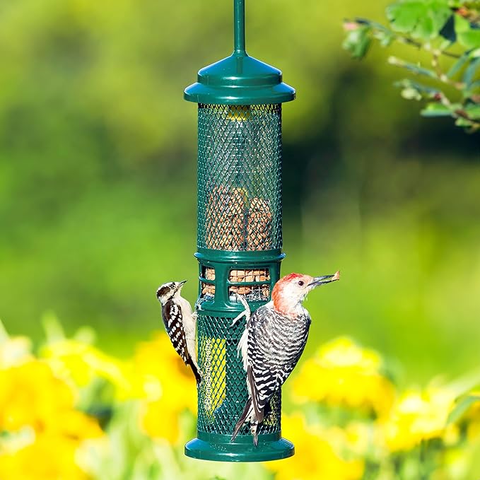 Squirrel Buster Nut Feeder Squirrel-Proof Bird Feeder for Nuts and Fruit, Two Meshes