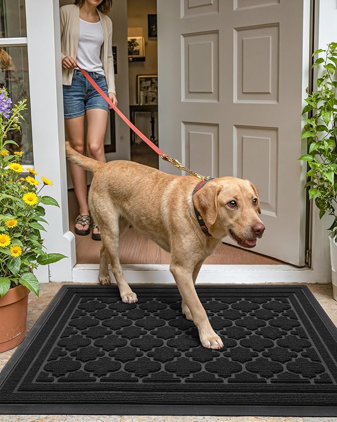 Color&Geometry Front Door Mat Outside Entrance, Heavy Duty Non Slip Low Profile Doormat for Entryway, Trap Dirt and Moisture Welcome Mats All-Weather, Easy Clean, Patio, Garage, 24"x48" Black