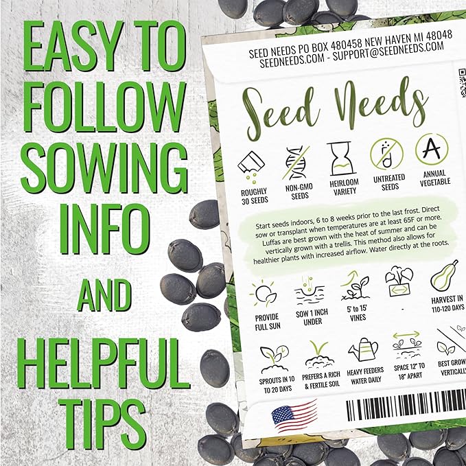 Seed Needs Luffa Seeds for Planting Loofah Sponge Gourds - Non-GMO Heirloom & Untreated Veggie Seed to Plant a Home Grown Outdoor Vegetable Garden (5 Packs)