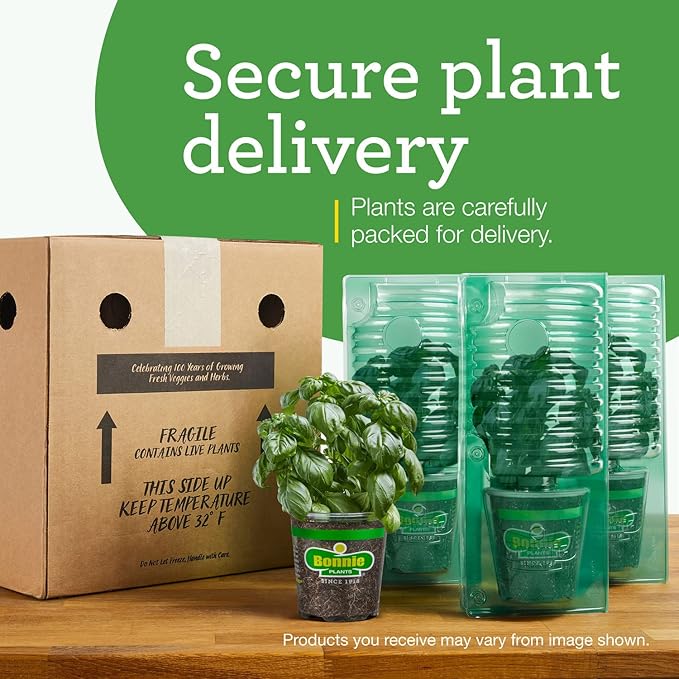 Bonnie Plants Roma Classic Paste Tomato - 4 Pack Live Plants, Great For Sauces, 3 Inch Long Fruit, Determinate, Non-GMO, Brown/A