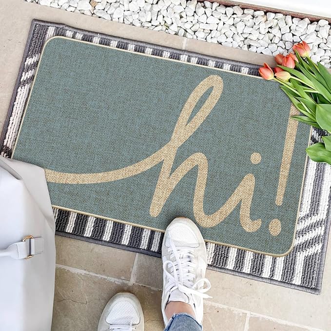 Artoid Mode Sky Blue Hi Doormat, Home Spring Summer Decor Switch Rug Welcome Door Mat Floor Mat 17x29 Inch