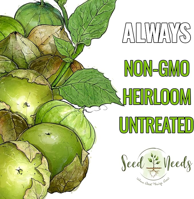 Seed Needs Grande Rio Verde Tomatillo Seeds for Planting - Non-GMO Heirloom & Untreated Vegetable Seed to Plant an Outdoor Home Grown Veggie Garden (2 Packs)