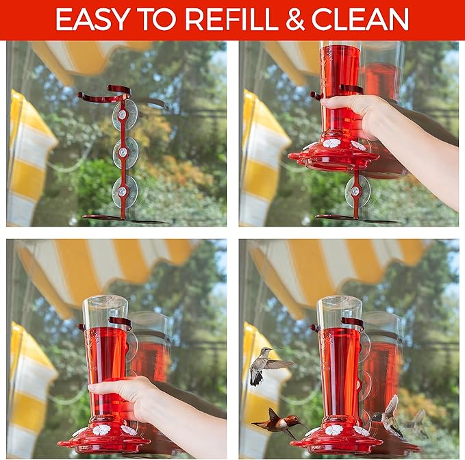 Window Hummingbird Feeders for Outdoors Including 3 Colors of Interchangeable Flowers for Hummingbirds Food and Nectar (2 Pack)