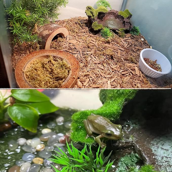 Reptile Feeding Bowl Resin Turtle Food Water Dish Terrarium Tank Decor with Artificial Plants for Lizard Gecko Chameleon Frog Spider