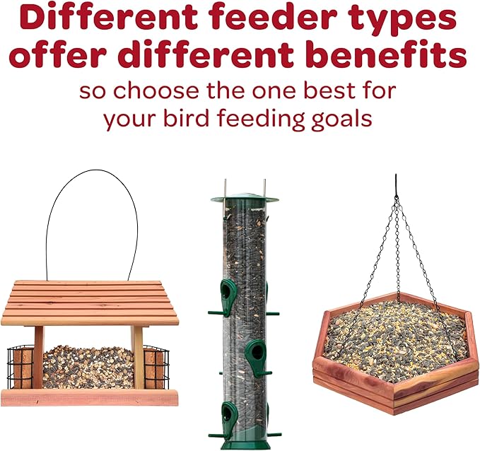 Kaytee Nyjer Seed 20-Lb