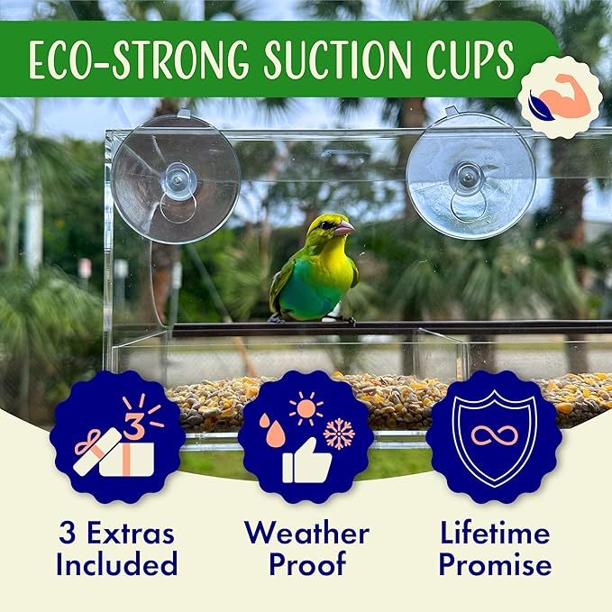 Window Bird Feeder by Nature’s Hangout - Award-Winning Clear Acrylic Bird Feeders for Outdoors, No Assembly, Strong Suction Cups, Bird Watching for Cats, Easy-to-Clean Birdhouse
