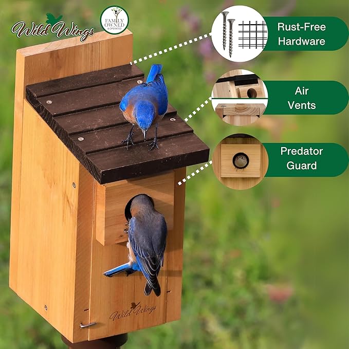Wild Wings WWCH3 Cedar Blue Bird Box House,(Pack of 4)