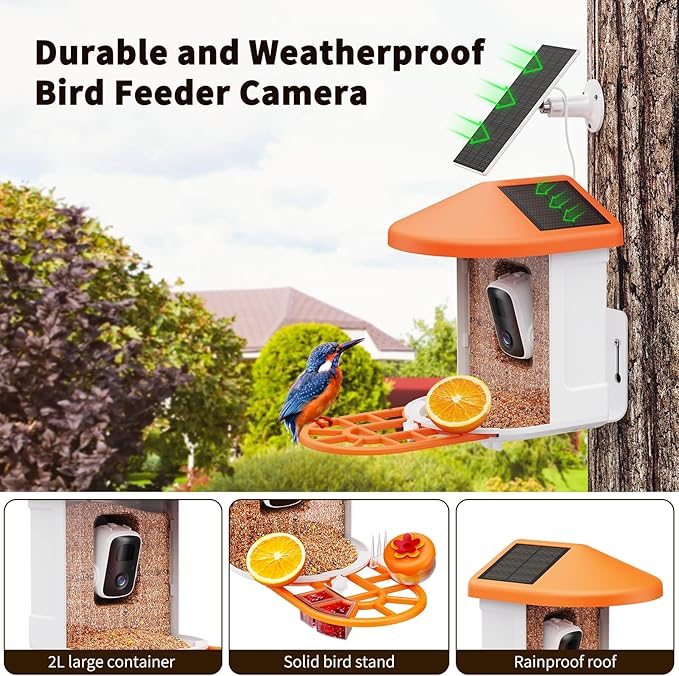 Bird Feeder with Camera with AI Identify Birds Species Solar Powered, Smart Bird House with Cam, 2K HD Video Live Stream, Instant Arrival Alerts - Orange