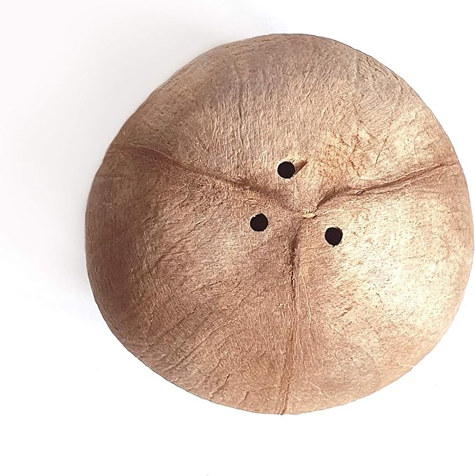Rainforest Bowls 3-Tier Hanging Coconut Planter w/ Drainage Hole- Perfect for Succulents, Flowers, Small Plants, Indoor & Outdoor Gardens- Hand Carved by Artisans, Eco-Friendly & Sustainable