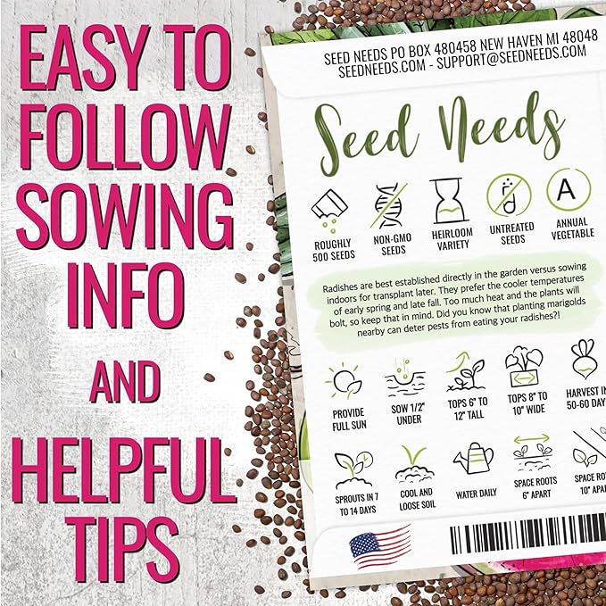 Seed Needs Radish Seeds for Planting Watermelon Radishes - Non-GMO Heirloom & Untreated - Grow a Home Grown Vegetable Garden - Cool Weather Crops (5 Packs)