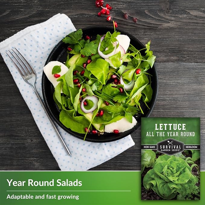 All The Year Round Lettuce Seeds for Planting – Slow-Bolting Butterhead Variety for Cool and Moderate Climates – Reliable Year-Round Harvest – Heirloom Non-GMO – Survival Garden Seeds (3 Packs)