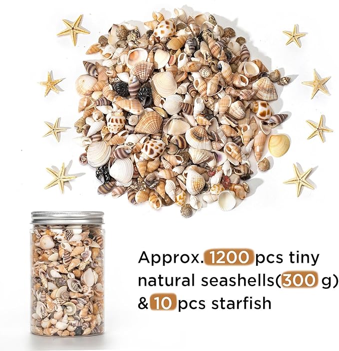 1200 PCS Natural Seashells, Joyfulmap Tiny sea Shells & Small Starfish for Decorations, Mixed Ocean Beach Spiral Shells for Crafting, Fish Tank, Beach Theme Party, Wedding Decor, DIY Craft Supplies