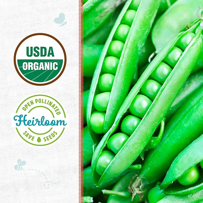 Back to The Roots 100% Organic Heirloom Seeds - Pea 'Pisum Sativum' Value Pack (16.8g Total)
