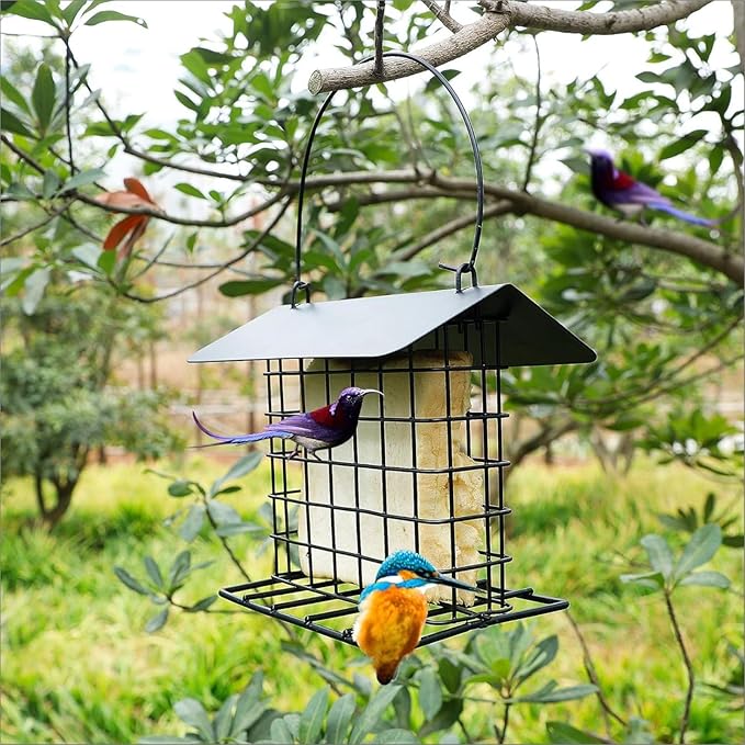 Wild Birds feeders Metal Roof-Suet Cakes Cage Bird Feeder Outdoors or Outside Garden Yard Patio Hanging Outdoors or Outside Garden Yard Patio Hanging Black