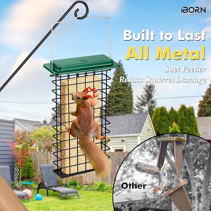 iBorn Metal Double Suet Feeder,Durable Suet Cake Cage Bird Feeder for Outdoors Hanging，Metal Roof Bird Feeder with Taller Grid for Woodpeckers,Large Suet Holder,Easy Clean & Refill,1 Pack,Green