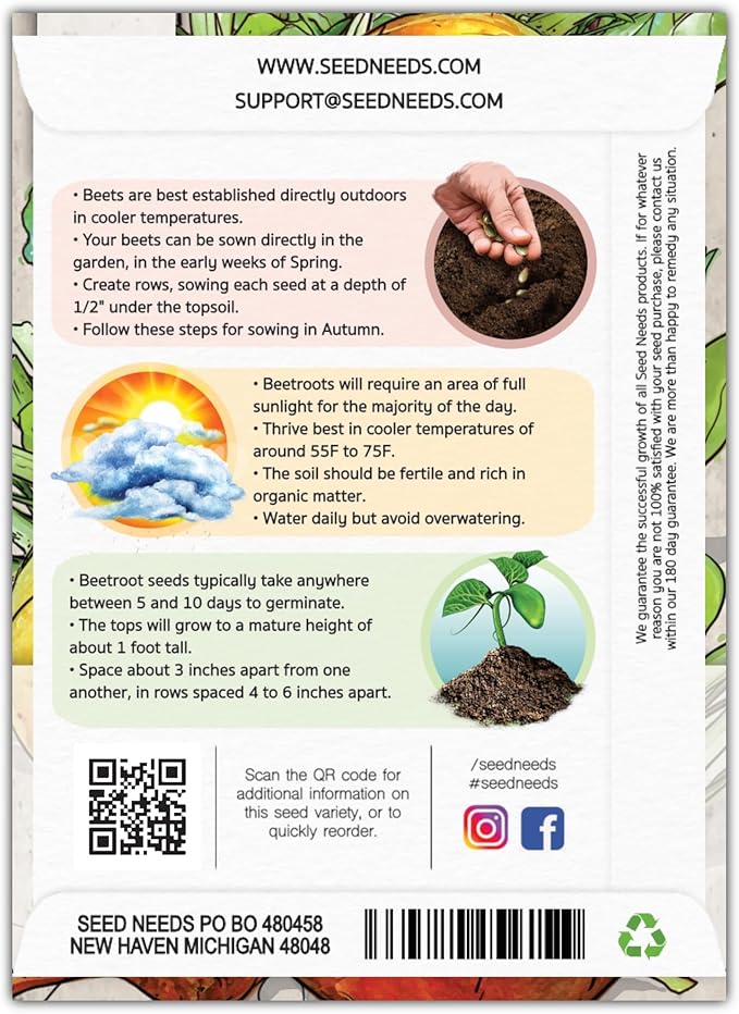 Seed Needs, Golden Detroit Beet Seeds - 250 Heirloom Seeds for Planting Beta vulgaris - Grow an Outdoor Garden Non-GMO & Untreated (1 Pack)