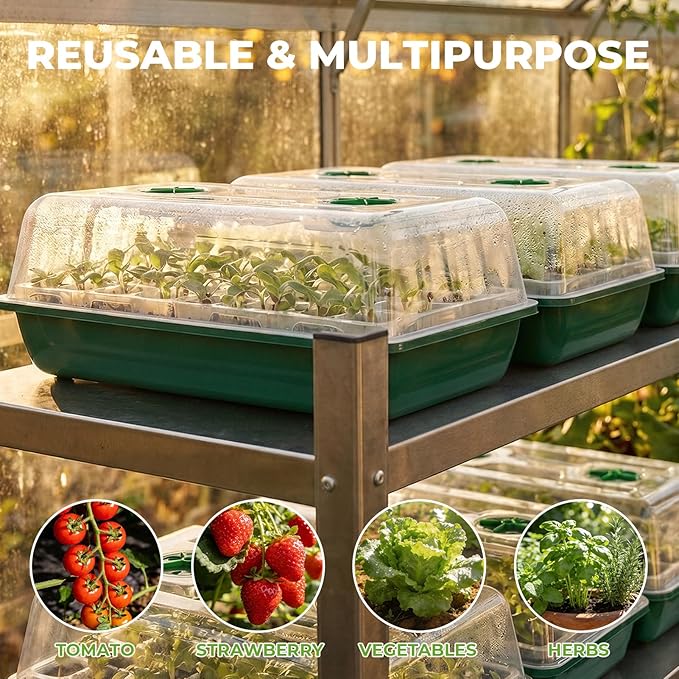 HIRALIY 40 Cell Seed Starter Tray Kits with Grow Light, Reusable Plant Germination Trays, Easy Transplanting, with Domes and Bases, for Starting Vegetable, Flower, Herb, Indoor Gardening, Greenhouse