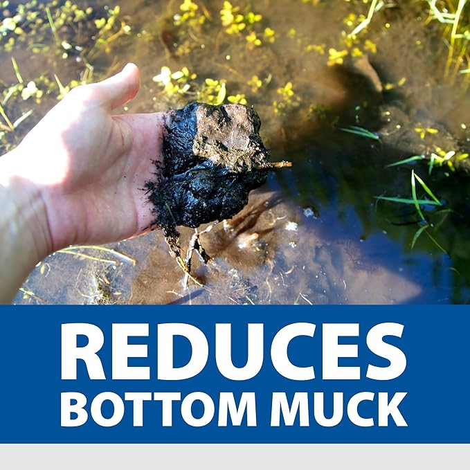 The Pond Guy Muck Defense, Natural Sludge Control Treatment, Water Garden Mud Digester & Odor Remover, Fish, Bird & Pet Safe, Easy Dosing, 24 Tablets