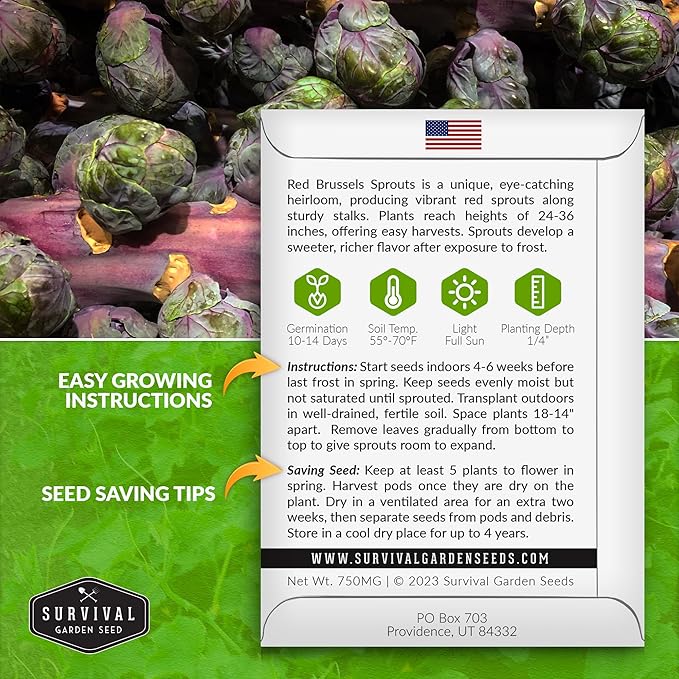 Red Brussels Sprout Seeds | Heirloom Non-GMO Purple Brussel Sprouts, Cold Hardy Garden Vegetable, Unique Exotic Variety - Survival Garden Seeds (3 Packs)