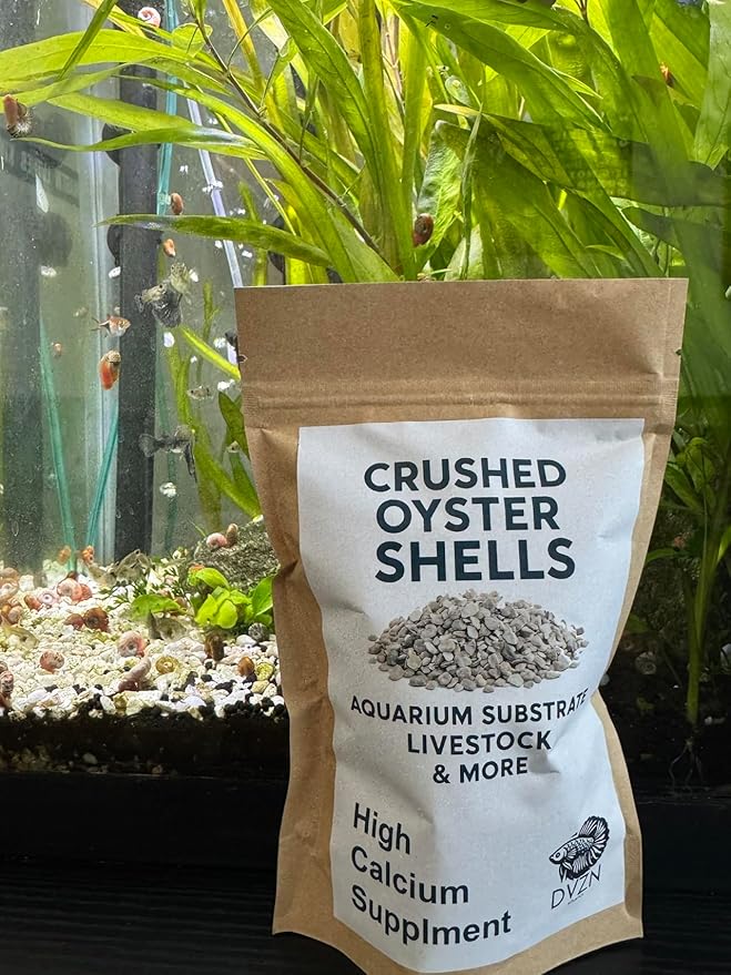 Crushed Oyster Shells (Poultry Feed, Hermit Crab Treat, Aquarium Substrate, PH Balancer, Garden Soil Amendment) (One Pound)