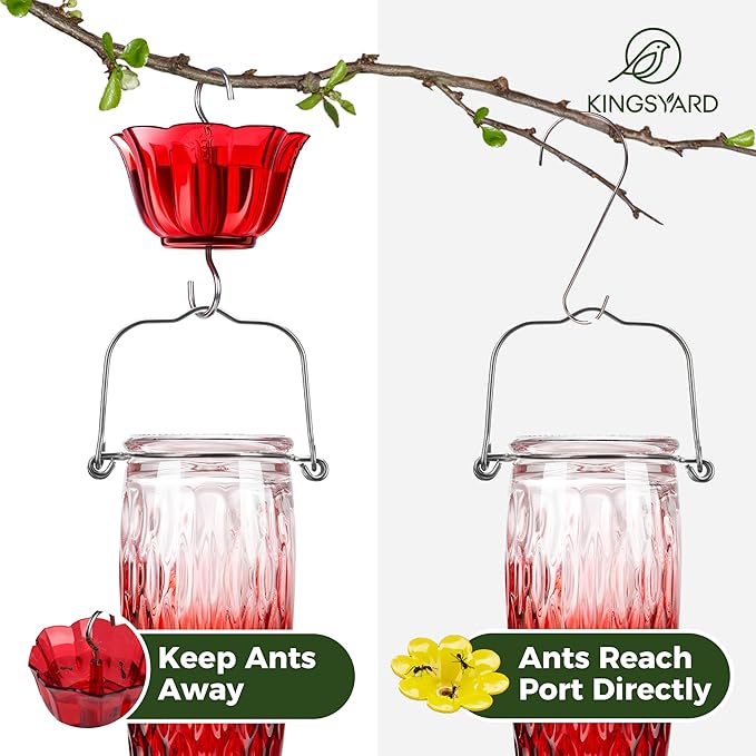 Kingsyard 2 Pack Glass Hummingbird Feeders for Outdoors Hanging, Wild Bird Nectar Feeder with 6 Feeding Ports, 24 oz Leak-Proof, Red Gradient (Ant Moat Included)