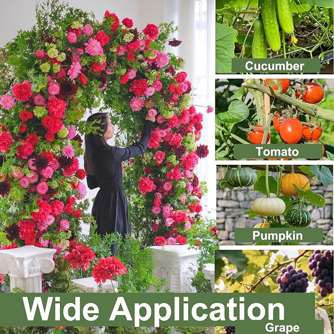 80 Inch Tall Garden Arch Trellis for Climbing Plants Outdoor, Grape Trelli Metal Vine Plants Support Flower Vegetable Tomato (Black, 33" L x 33" W x 80" H - Arch Trellis)