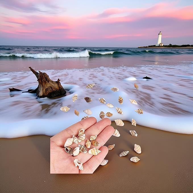30Pcs Tiny Sea Shell Ocean Beach Spiral Seashells Craft Tiny Miniature Fairy Garden Beach Critter Seashells Beach Theme Party Wedding Decor Mini Conch Home Décor Products