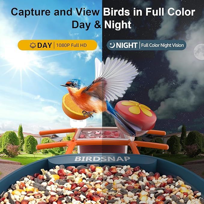 birdsnap® PAV-Bird Feeder with Camera,2K HD with 64GB Card, AI Identify Smart Bird House Cam Solar Panel,Live Stream,Motion Detection,Auto Record Video for Backyard Outdoors,Ideal Gift for Bird Lover