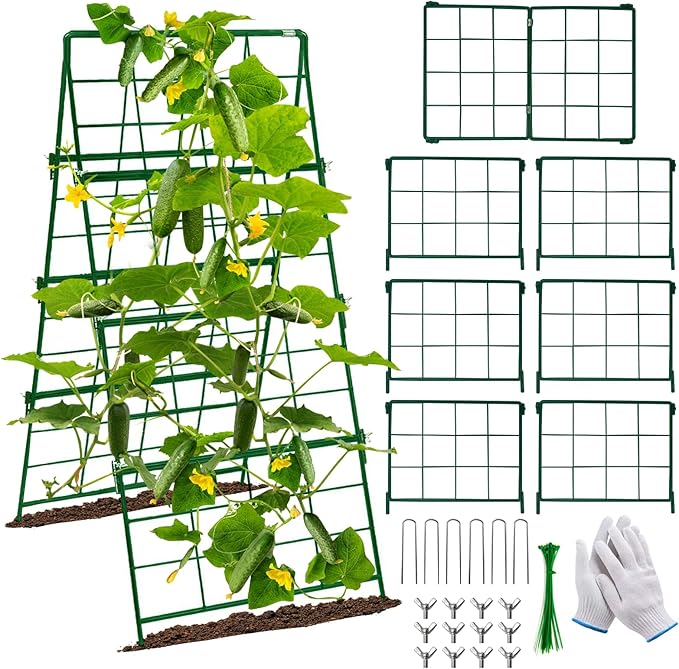 Thickened Cucumber Trellis for Raised Garden Bed,48"x16" Foldable Frame Metal Vegetable Trellis for Climbing Plants Outdoor Plant Support for Grape Tomato Peas, Fruit, Vine,Bean(Green)