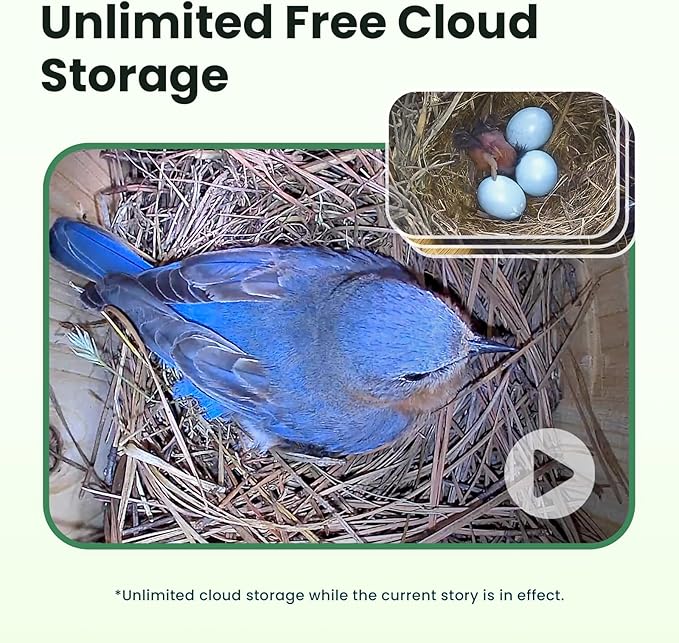 Birdfy Bird House with Camera Inside with Iron Guard, AI Identify & Nest Story, 1080P HD & Night Vision for Bluebird Finch Swallow Wren Chickadee Nesting Watching, Auto Detect & Notify