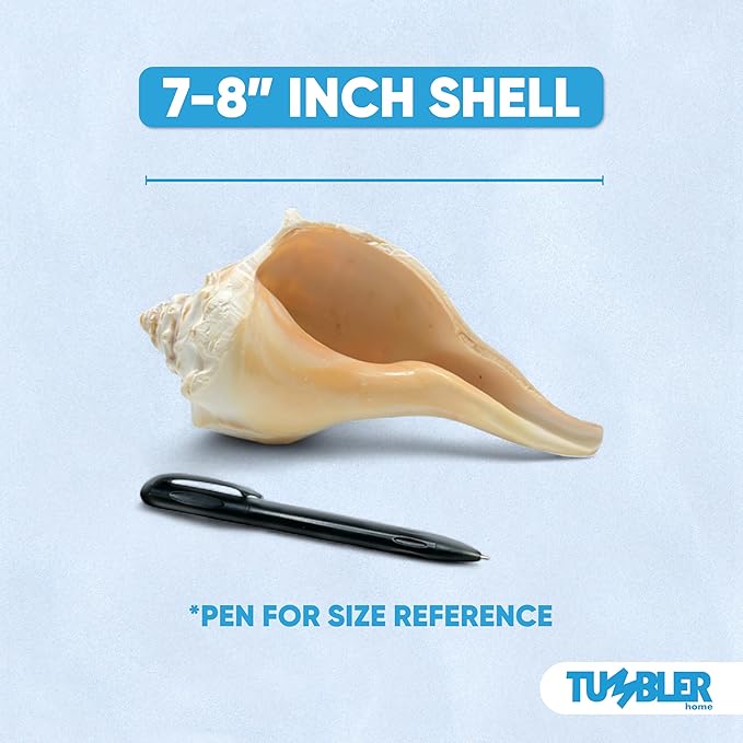 Tumbler Home Large Conch Sea Shells for Decorating or Fish Tank, Coastal & Nautical Decor, Air Plant Holder, Aquarium Ornaments, Big Sea Shell, Decorative Seashells, Beach Party Decor (Whelk)