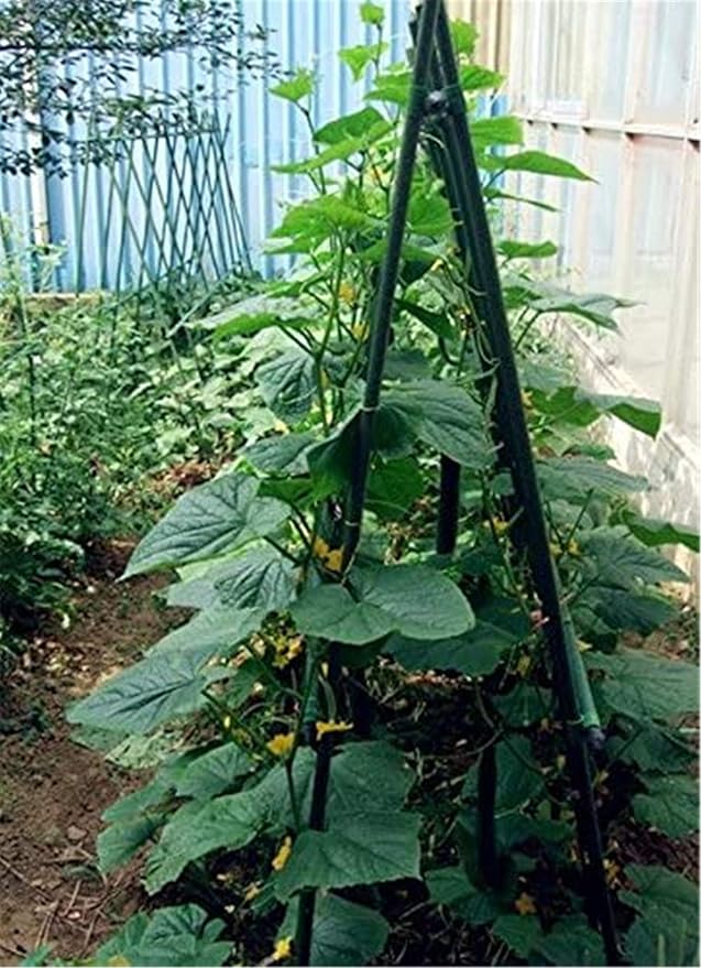 Garden Stakes 36 Inches Steel Plant Stakes Tomato Stakes 3ft Pack of 25